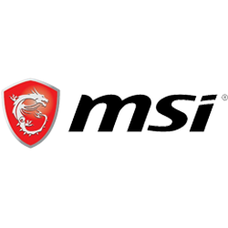 MSI